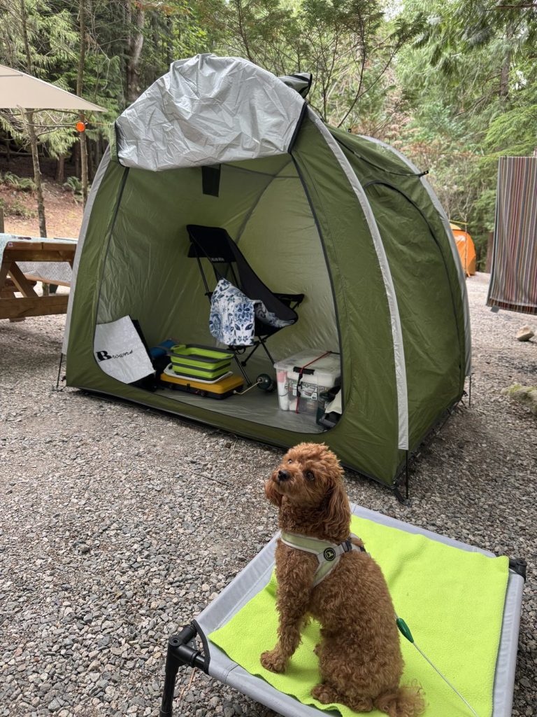 Green bike storage tent at a forest campsite holding a folding camp chair, two-burner propane stove, collapsible wash basin and a storage tote
