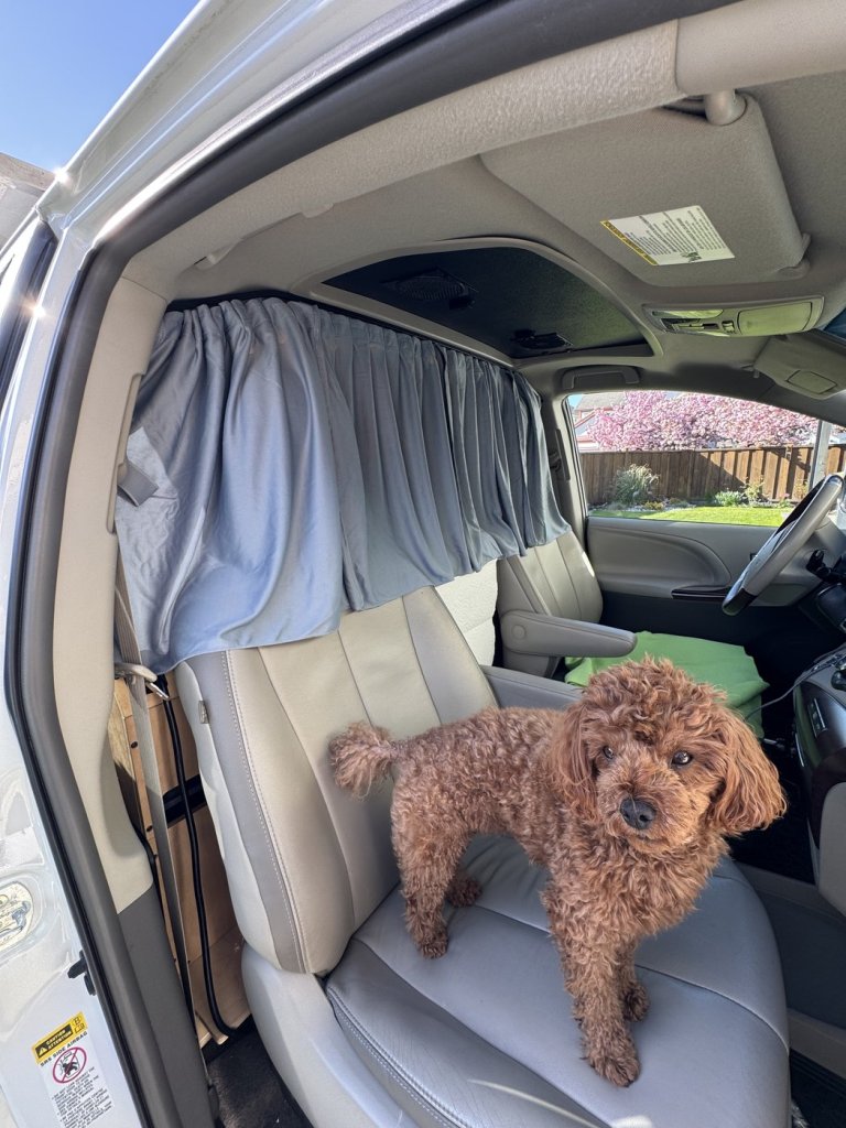 Divider curtain tied back at the driver's side of a Toyota Sienna minivan camper with a holder, seen from the open driver's door