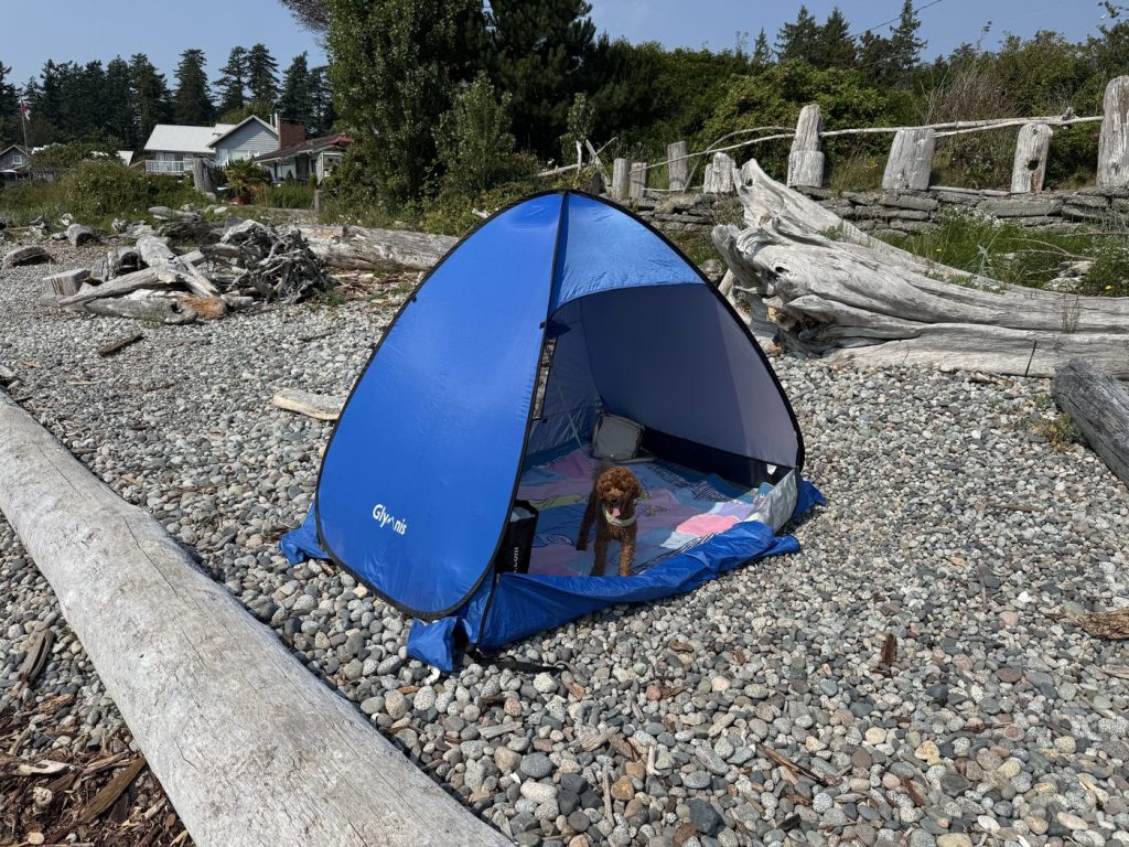 Blue Glymnis pop-up beach tent set up on a pebble beach beside driftwood logs, with a small dog sitting inside on a blanket