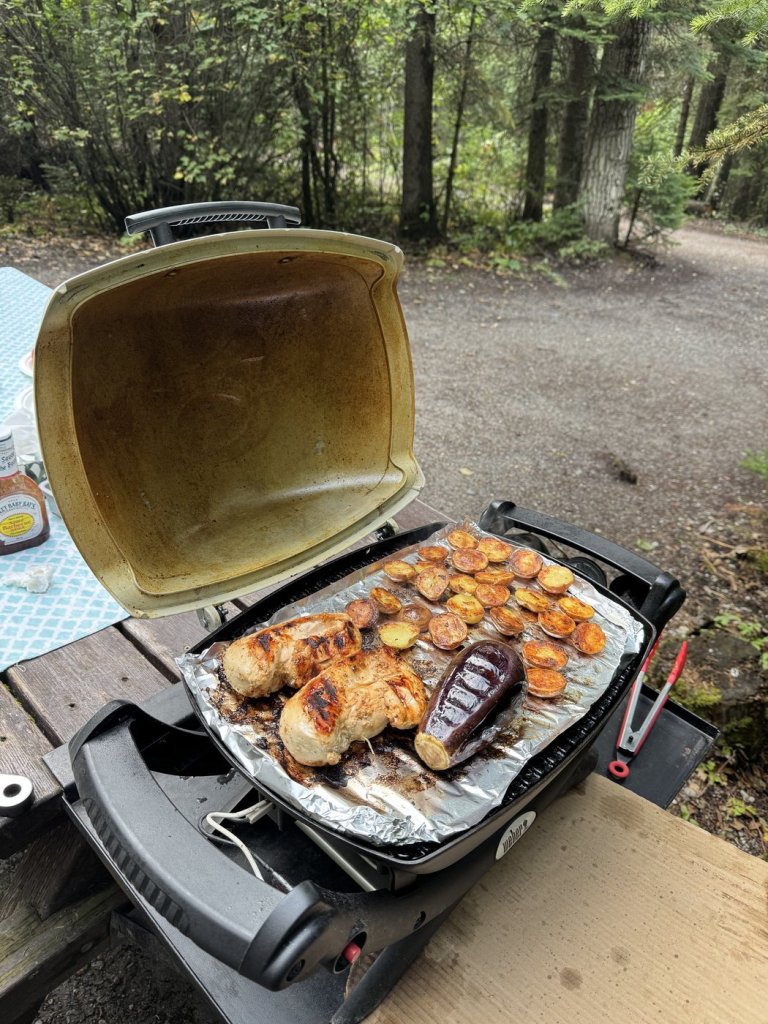Weber Q1000 portable propane grill with grilled chicken, potatoes and eggplant on foil at a forest campsite